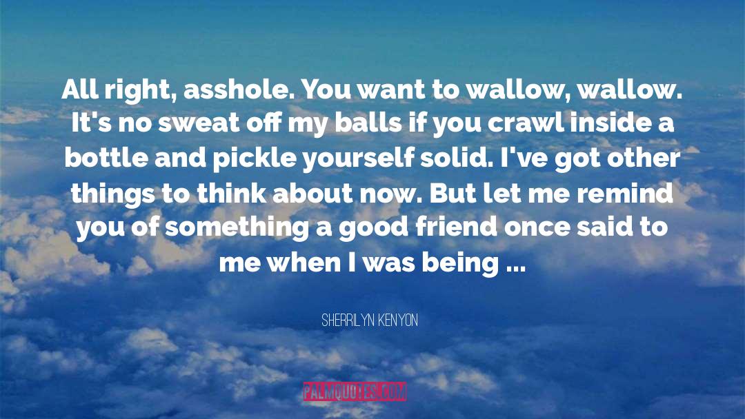 Who I Want To Be quotes by Sherrilyn Kenyon