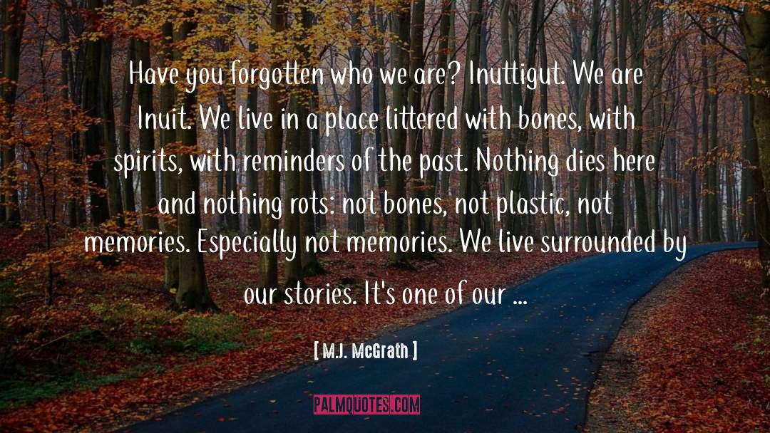Who We Are quotes by M.J. McGrath