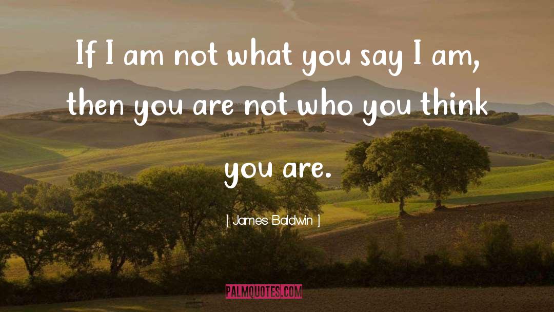 Who You Think You Are quotes by James Baldwin