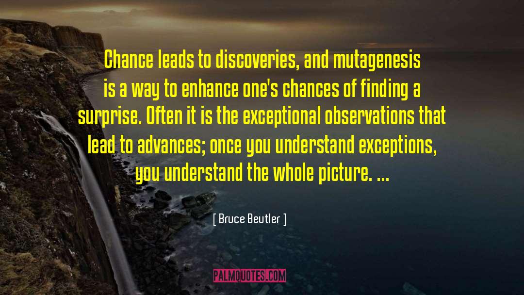 Whole Picture quotes by Bruce Beutler