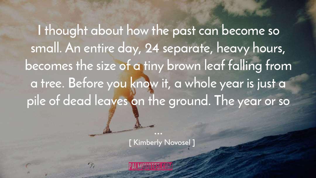 Whole Year quotes by Kimberly Novosel