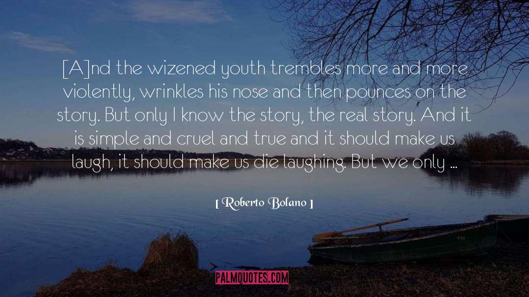 Wholeheartedly quotes by Roberto Bolano