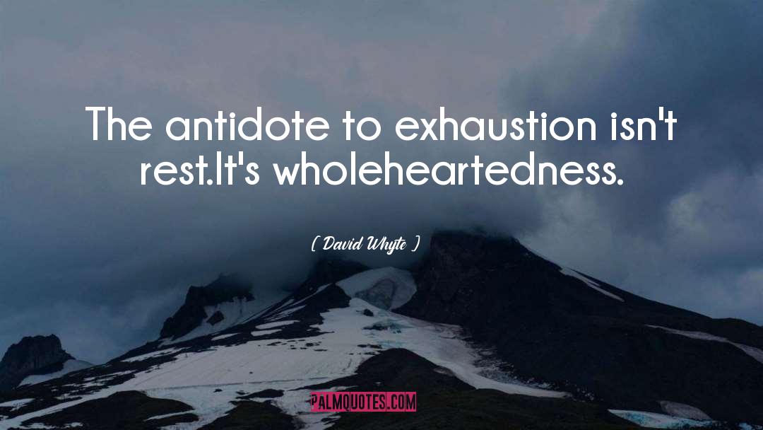 Wholeheartedness quotes by David Whyte