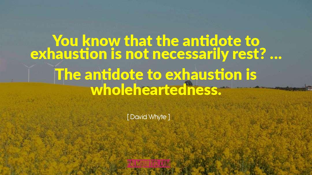 Wholeheartedness quotes by David Whyte