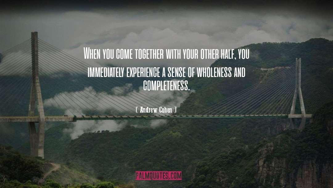 Wholeness quotes by Andrew Cohen