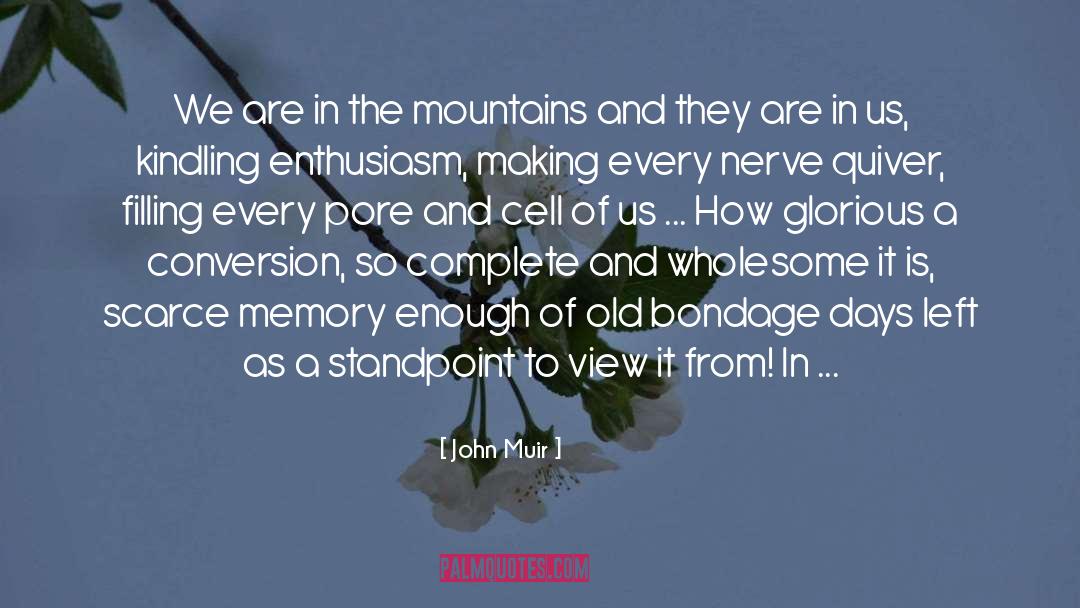 Wholesome quotes by John Muir