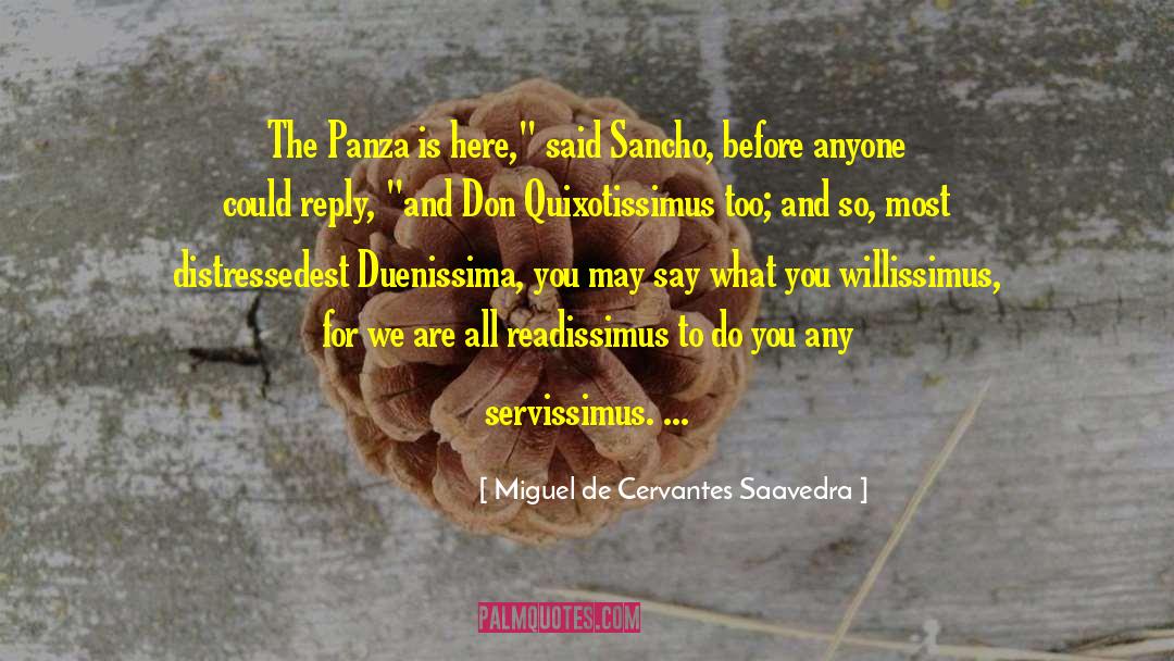 Why Are We Here quotes by Miguel De Cervantes Saavedra