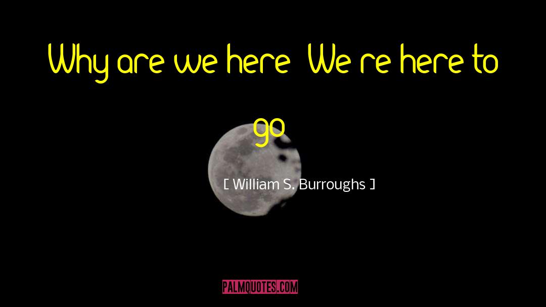 Why Are We Here quotes by William S. Burroughs