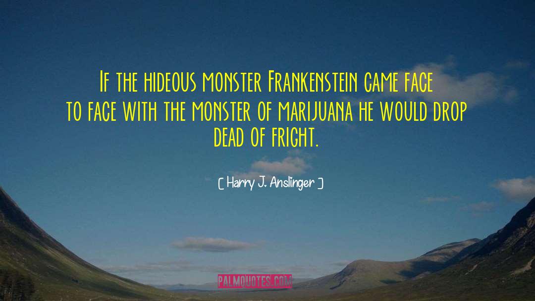 Why Did Frankenstein Create The Monster Quote quotes by Harry J. Anslinger