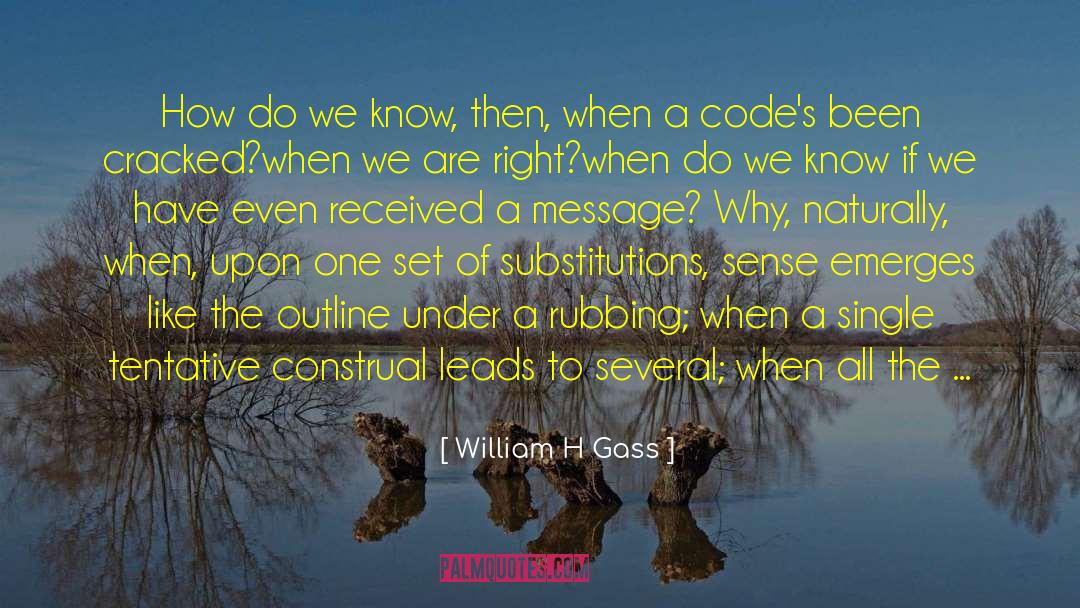 Why Do We Travel quotes by William H Gass