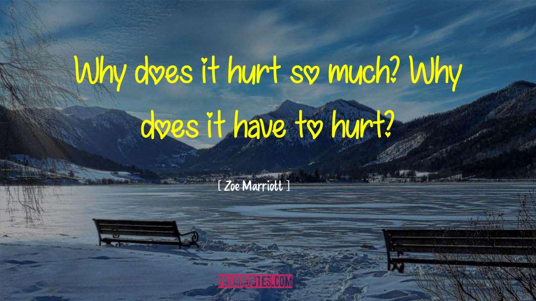 Why Does It Hurt quotes by Zoe Marriott