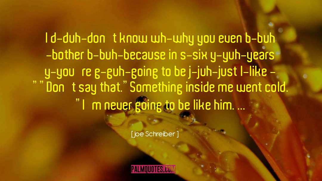 Why I Even Bother quotes by Joe Schreiber