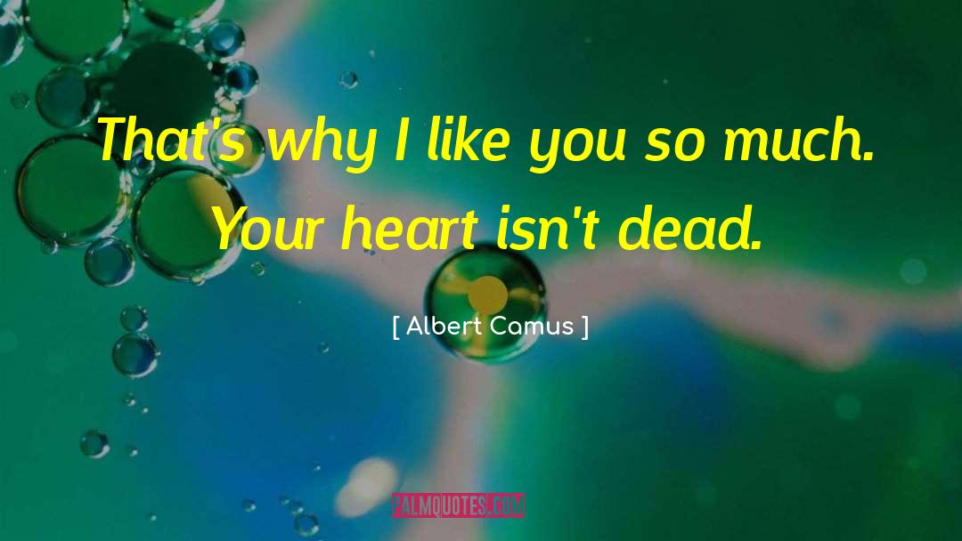 Why I Like You quotes by Albert Camus