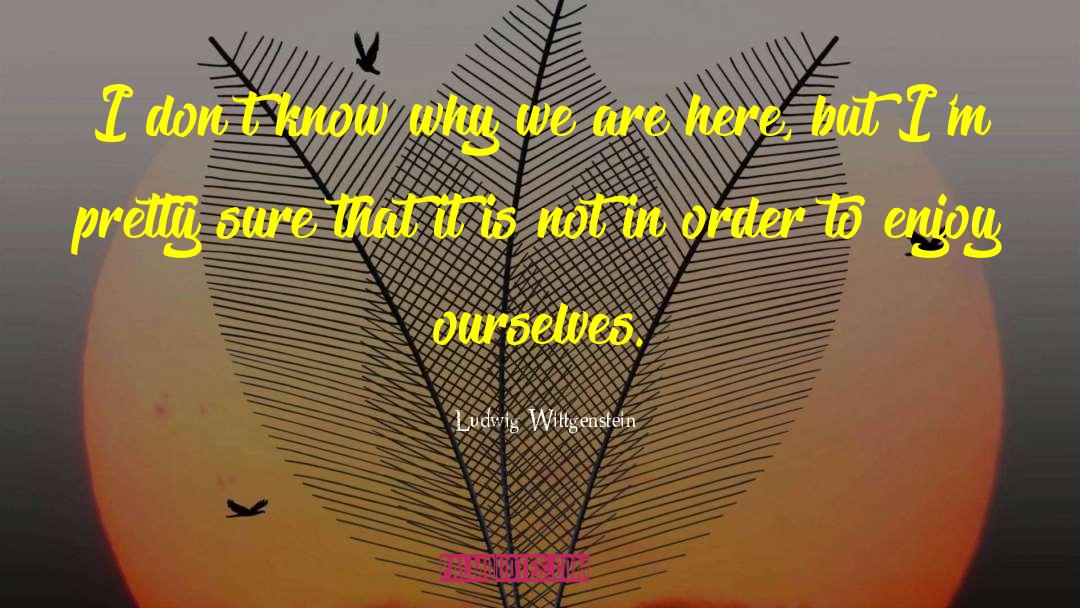 Why We Are Here quotes by Ludwig Wittgenstein