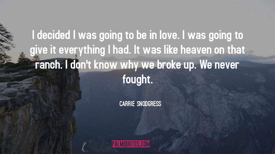 Why We Broke Up quotes by Carrie Snodgress