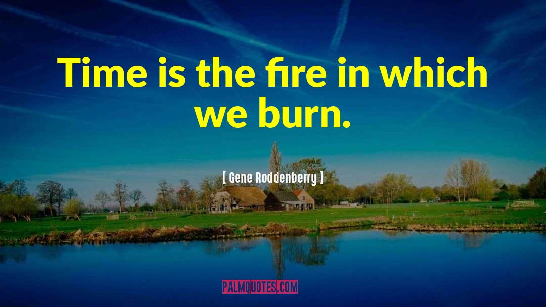 Why We Burn quotes by Gene Roddenberry