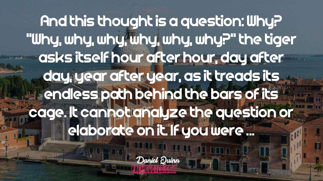 Why Why Why quotes by Daniel Quinn