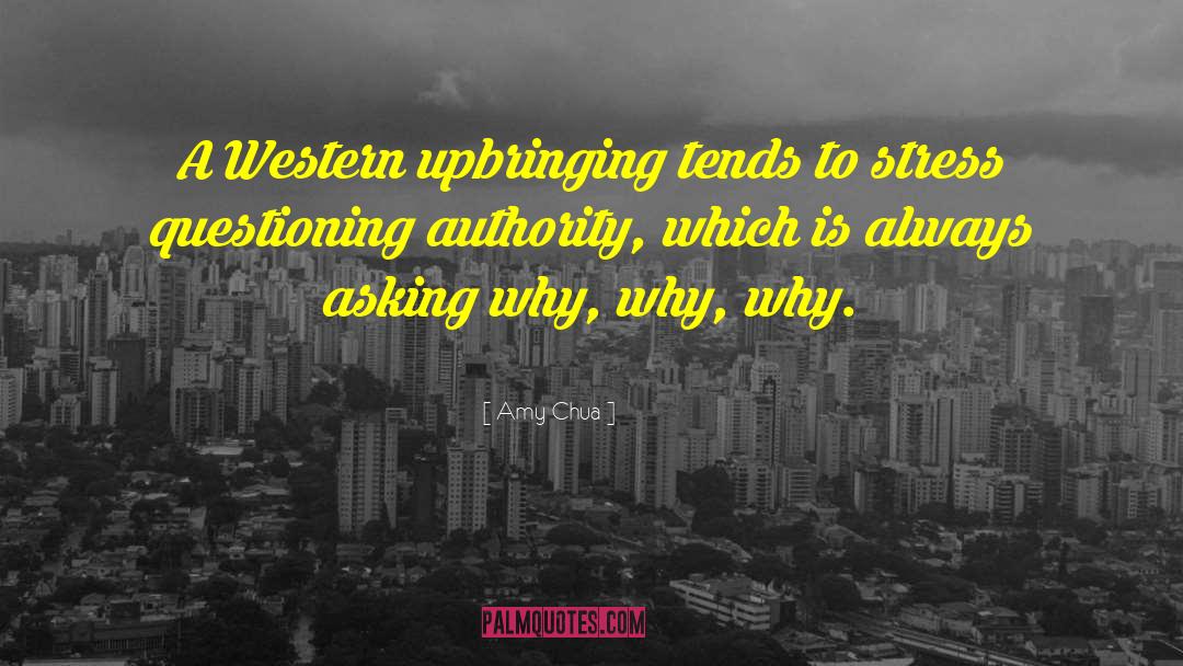 Why Why Why quotes by Amy Chua