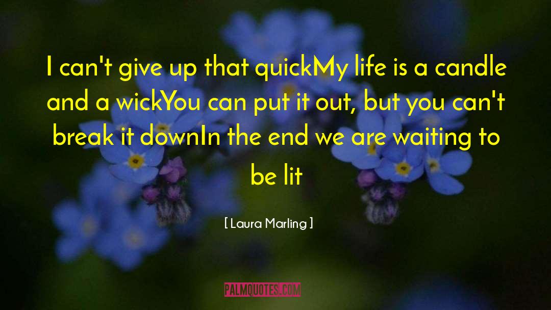 Wick quotes by Laura Marling