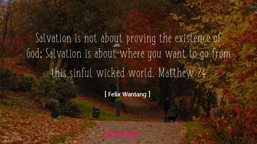 Wicked Delights quotes by Felix Wantang