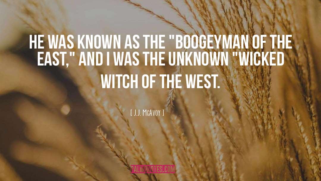 Wicked Lovely 3 quotes by J.J. McAvoy