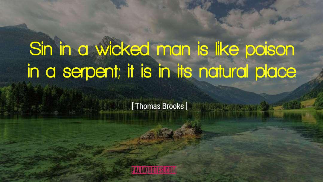Wicked Man quotes by Thomas Brooks