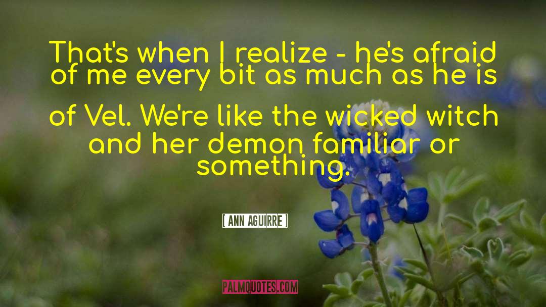 Wicked Witch Of The West quotes by Ann Aguirre