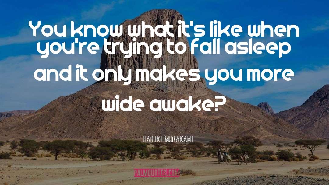 Wide Awake quotes by Haruki Murakami