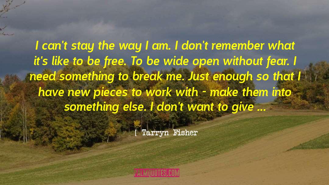 Wide Open quotes by Tarryn Fisher