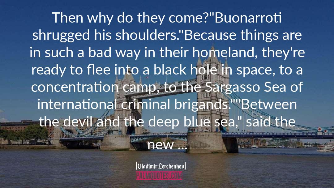 Wide Sargasso Sea quotes by Vladimir Lorchenkov