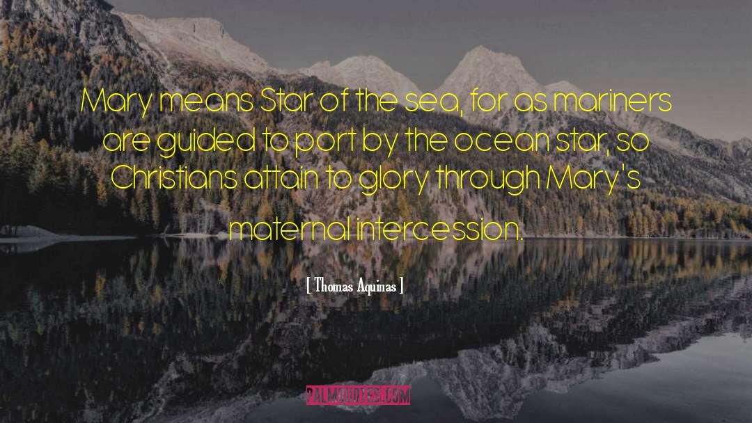 Wide Sargasso Sea quotes by Thomas Aquinas