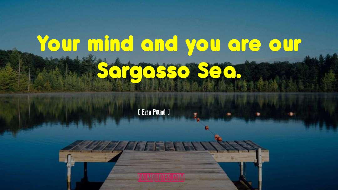 Wide Sargasso Sea quotes by Ezra Pound