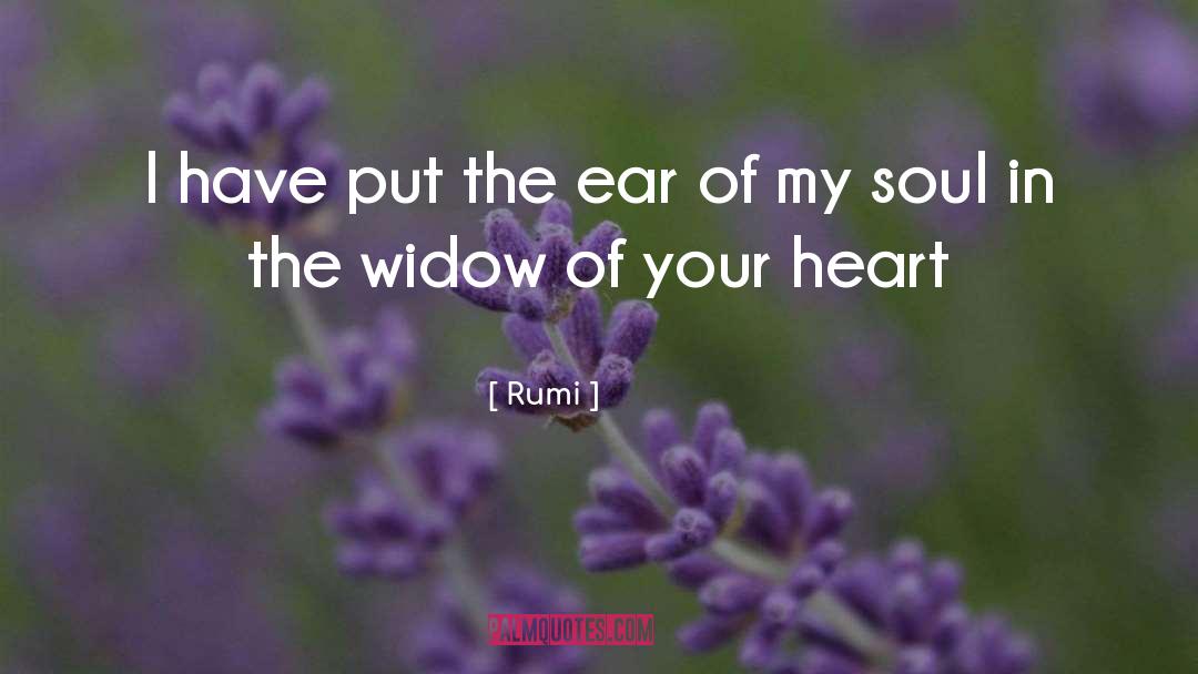 Widow quotes by Rumi