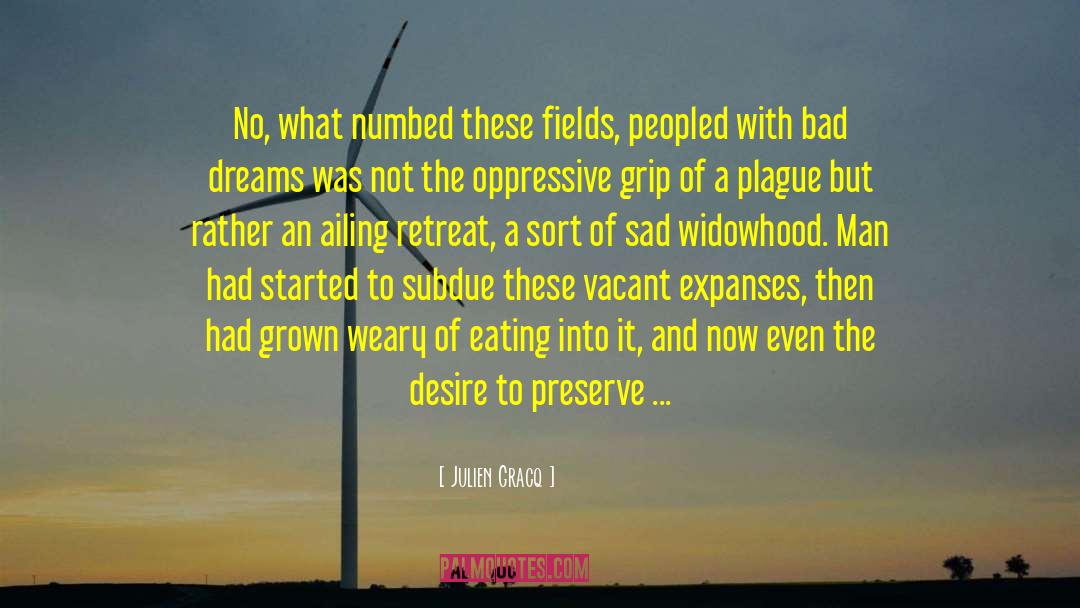 Widowhood quotes by Julien Gracq