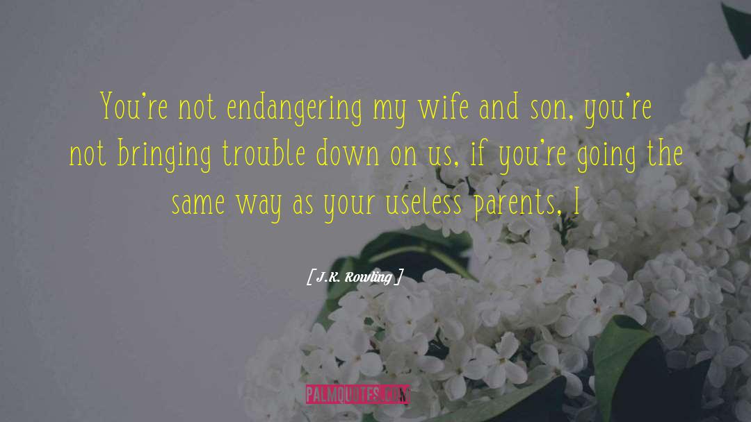 Wife And Son quotes by J.K. Rowling