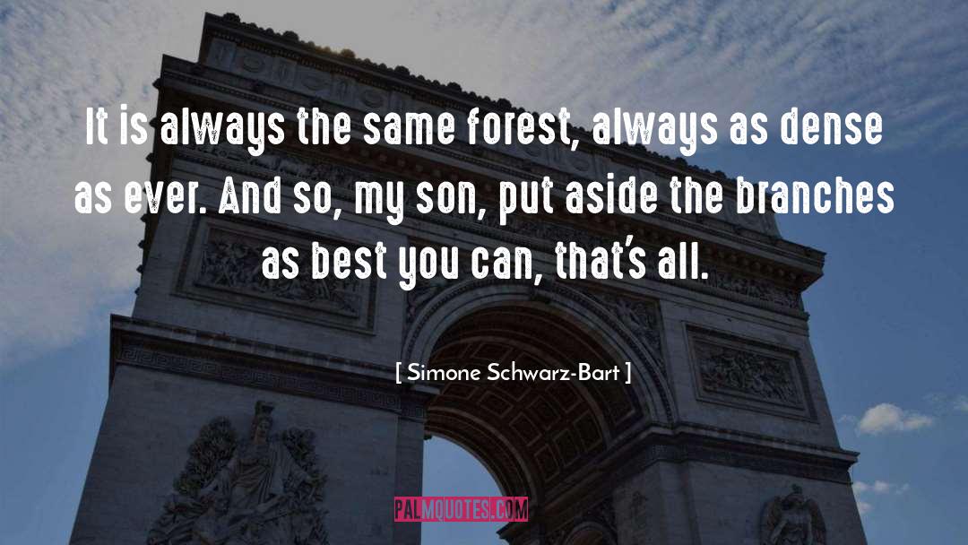 Wife And Son quotes by Simone Schwarz-Bart