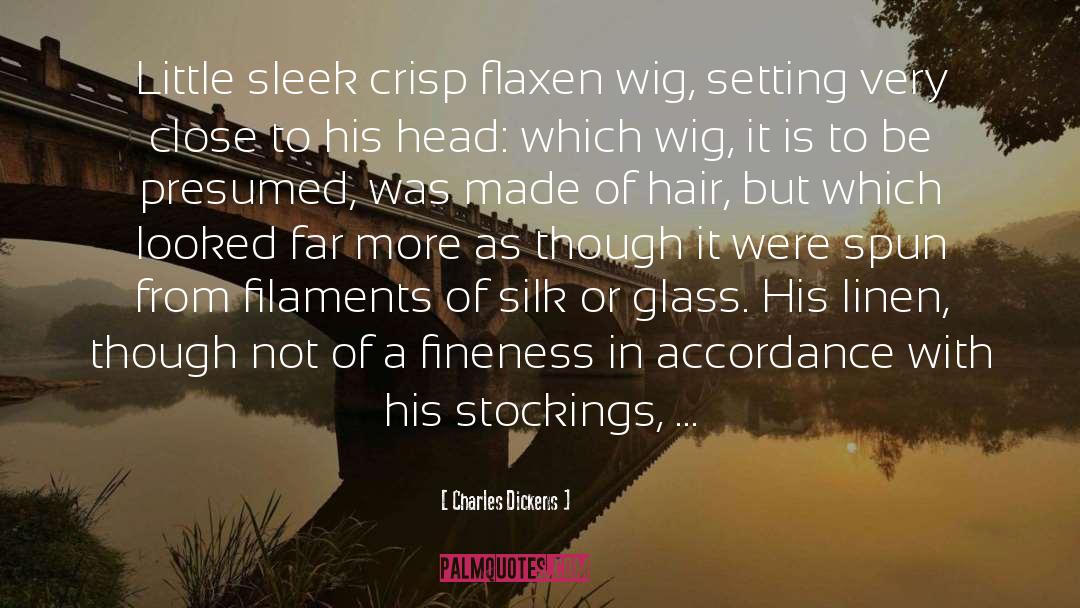 Wig quotes by Charles Dickens