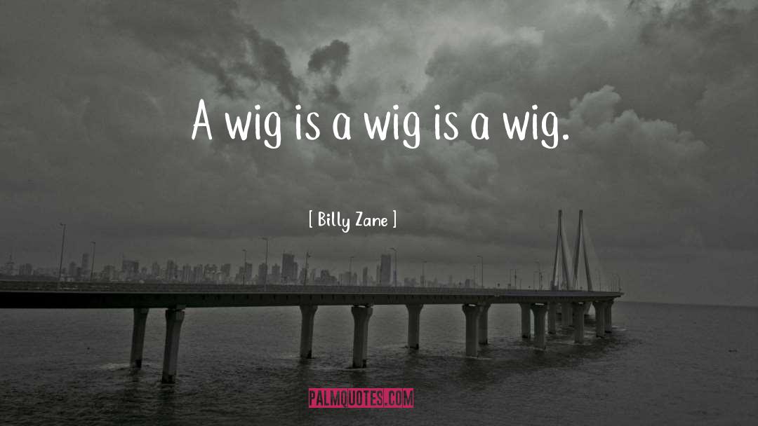 Wig quotes by Billy Zane