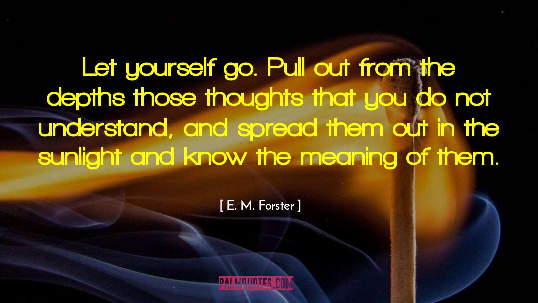 Wiggle Room quotes by E. M. Forster