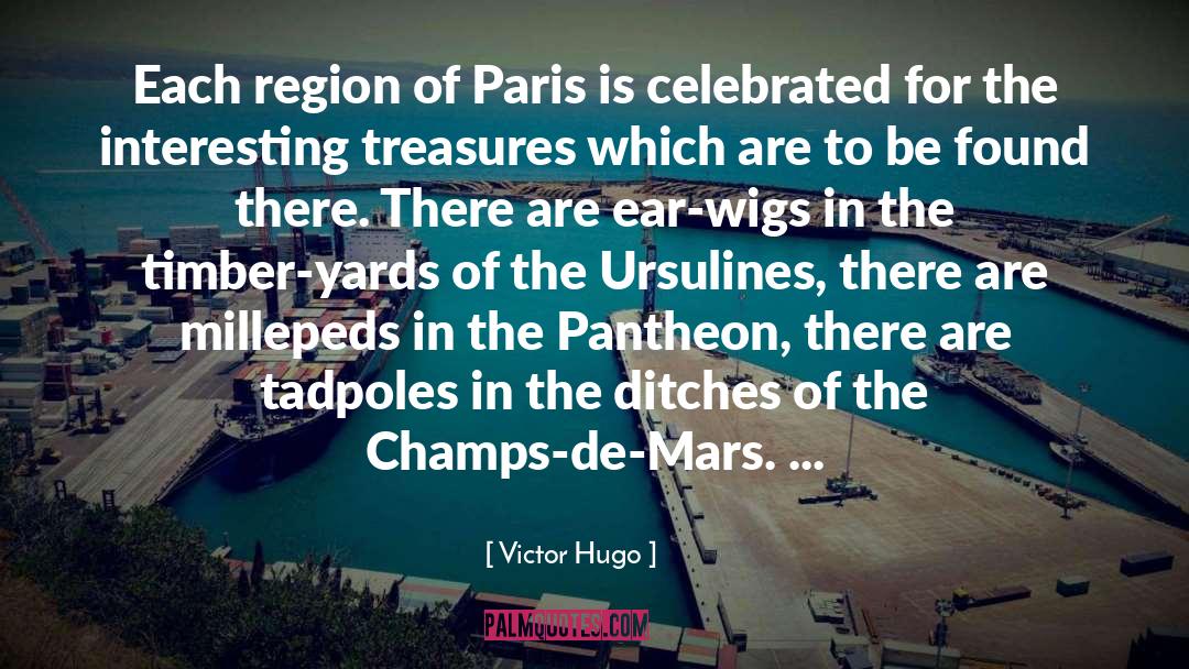 Wigs quotes by Victor Hugo