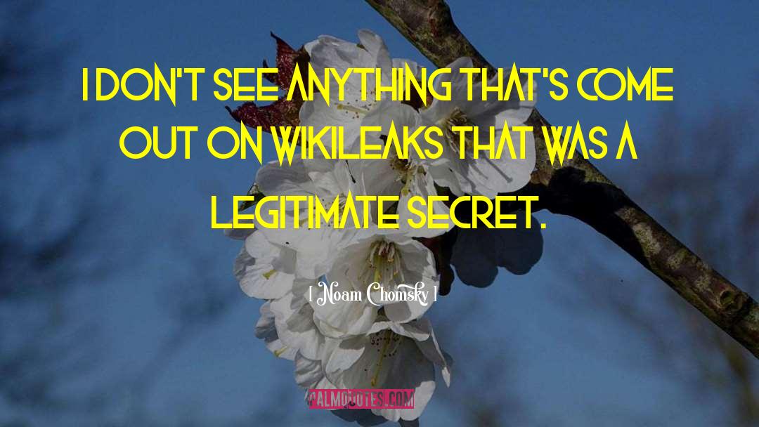 Wikileaks quotes by Noam Chomsky