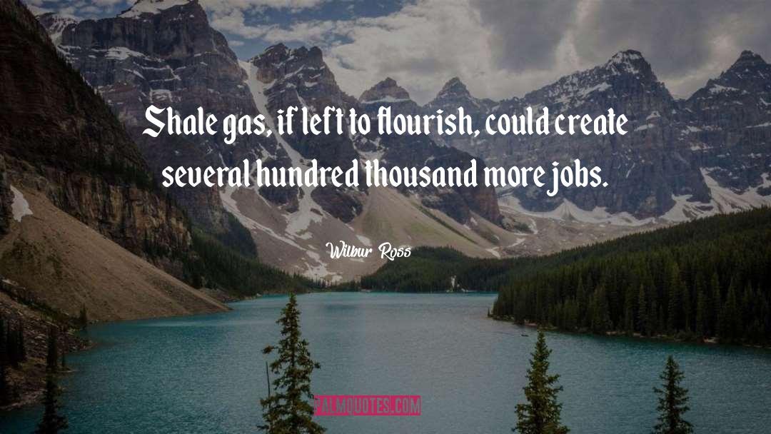 Wilbur Soots quotes by Wilbur Ross