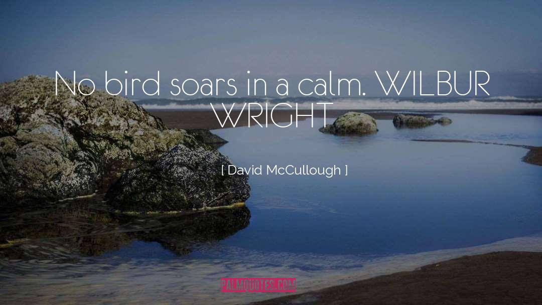 Wilbur Wright quotes by David McCullough