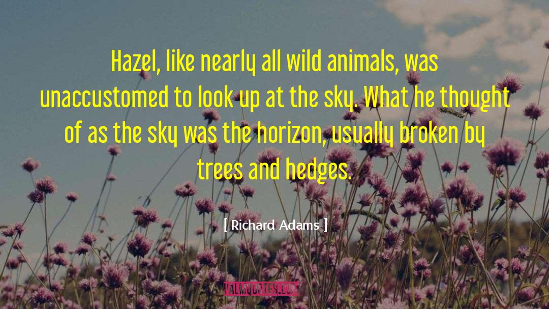 Wild Abandon quotes by Richard Adams