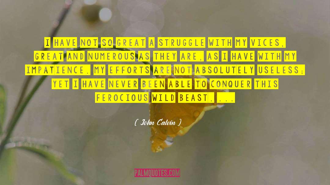 Wild Abandon quotes by John Calvin