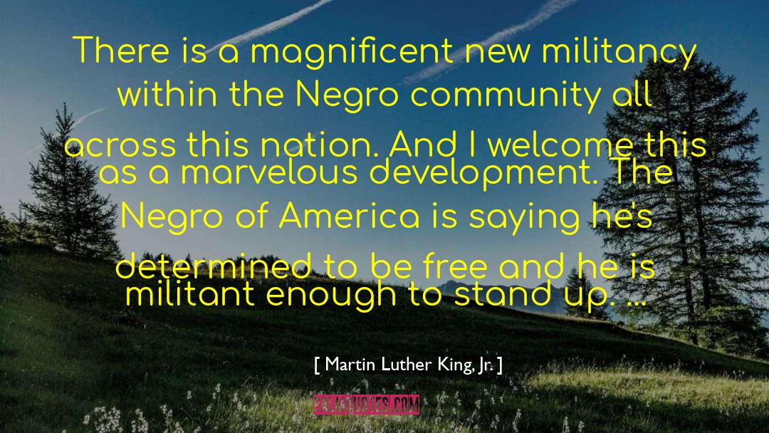 Wild And Free quotes by Martin Luther King, Jr.