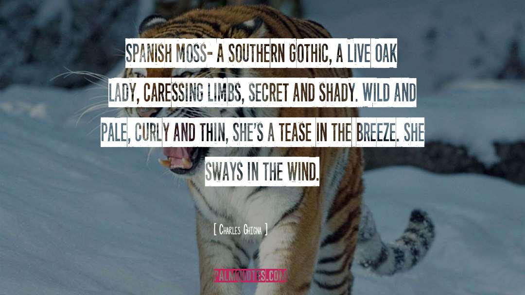Wild And quotes by Charles Ghigna