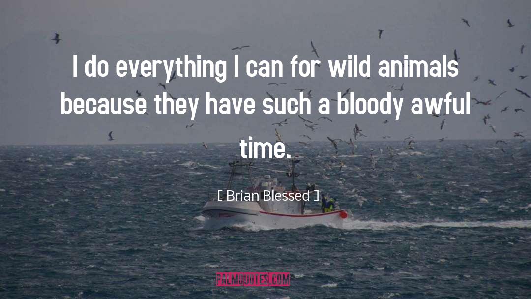 Wild Animal quotes by Brian Blessed