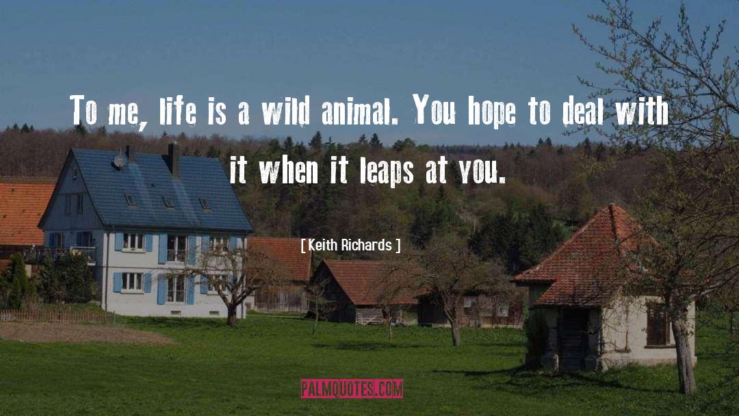 Wild Animal quotes by Keith Richards