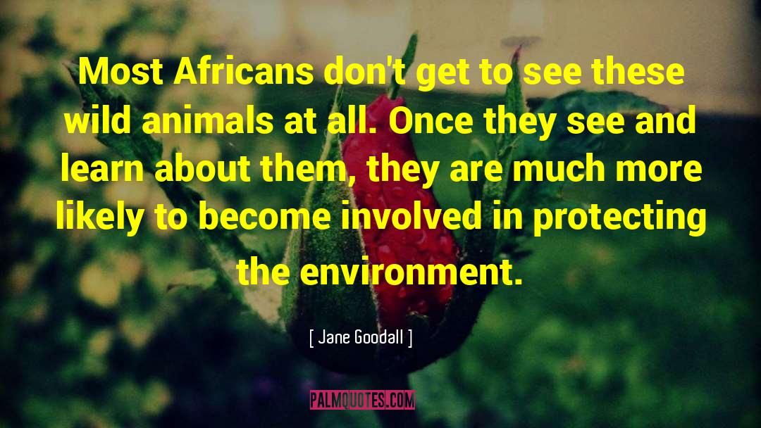 Wild Animal quotes by Jane Goodall
